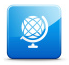 Online Webinars
