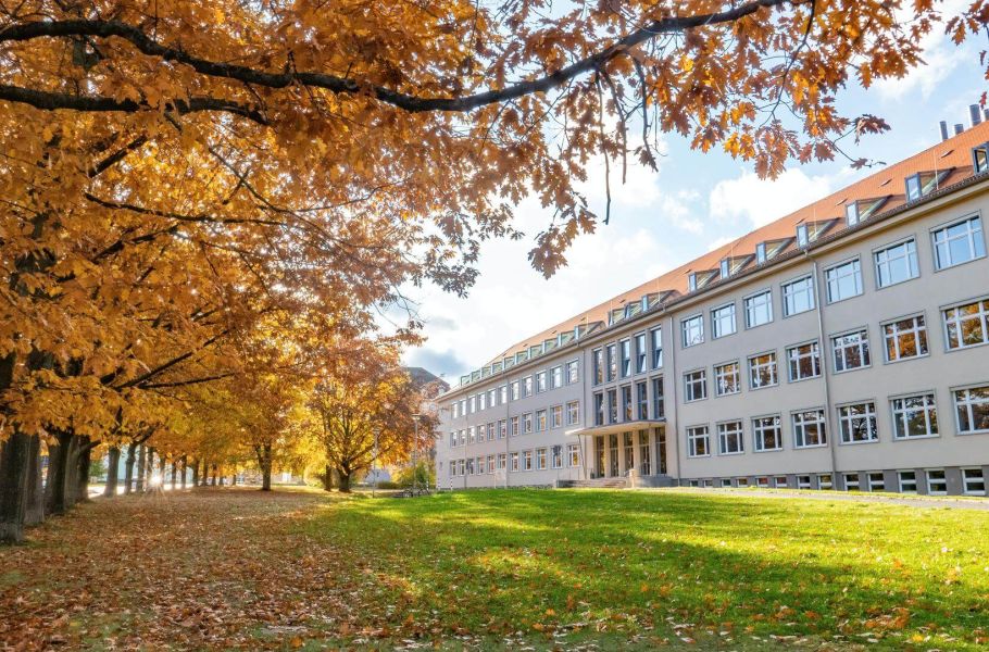 an outdoor view of a building, in the fall, with yellow leaves